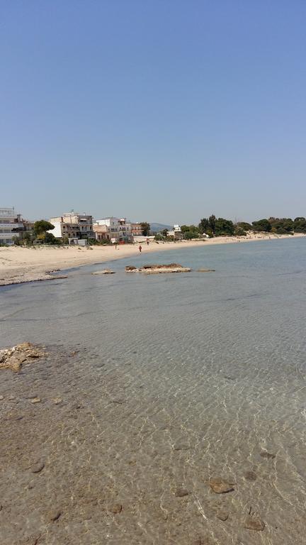 فيلا Nineta'S House Sea View Near The Airport أرتيميدا المظهر الخارجي الصورة